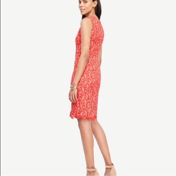 Ann Taylor Petite Two Tone Lace Sheath Dress - Picture 3 of 12